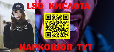 крисы Можга