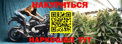 крисы Можга