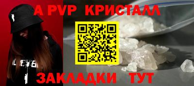 крисы Можга