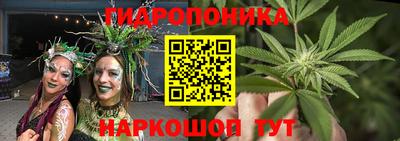 крисы Можга
