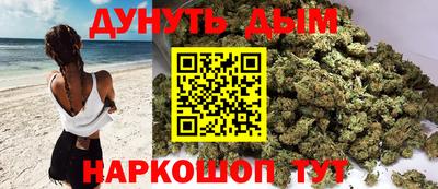 крисы Можга