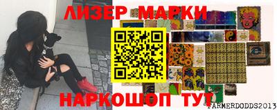 крисы Можга