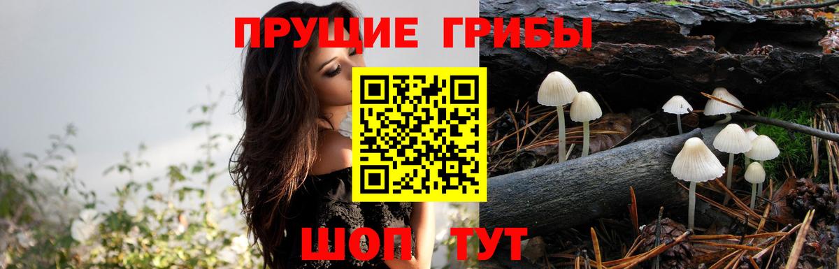 Усинск  Галлюциногенные грибы мухоморы  Псилоцибиновые грибы Psilocybe  Вход с VPN 